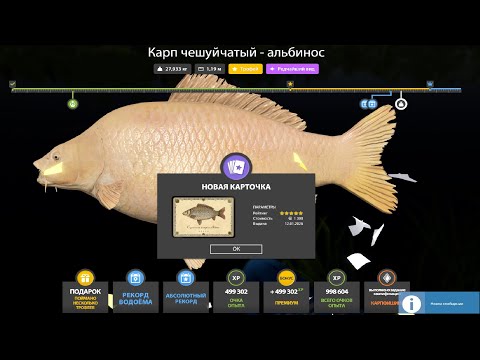 Видео: НОВЫЕ ФАРМЫ СЕРЕБРА и РАЗДАЧИ ТРОФЕЕВ! СВОДКА по ВОДОЁМАМ на 12.01 в Русской Рыбалке 4! РР4