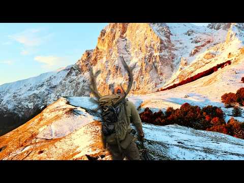 Видео: Охота на лося во время снежной бури