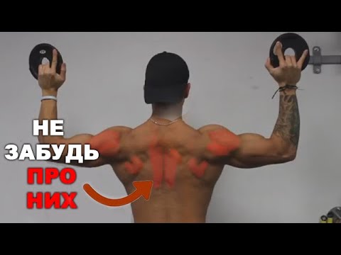 Видео: Как Правильно Разминаться Перед Тренировкой | Джереми Этье