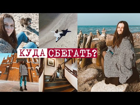 Видео: Самая вкусная ЕДА | Нашла друзей! Коты друзья? VLOG: Лена путешествует в Калининград