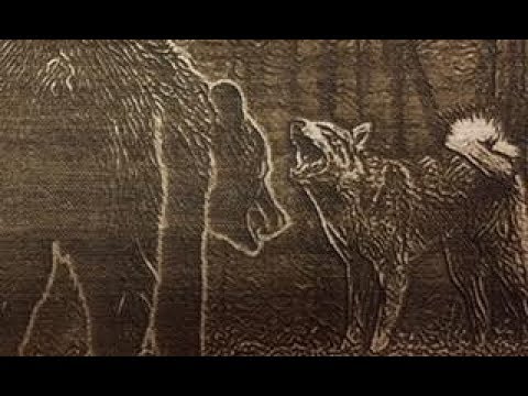 Видео: Медведь ШАТУН ликвидировать любой ценой !!!!
