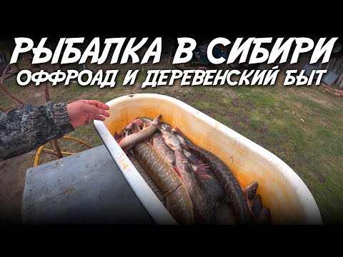 Видео: Рыбалка в Сибири / Оффроад и деревенский быт