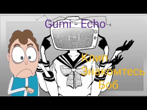 Видео: Echo - клип знакомтесь боб.