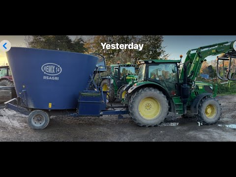 Видео: София впервые кормит коров