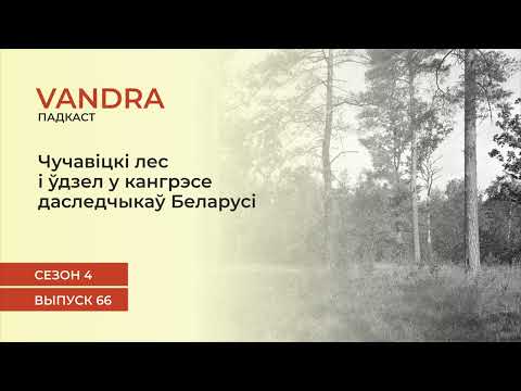 Видео: #66 Чучавіцкі лес і ўдзел у кангрэсе даследчыкаў Беларусі