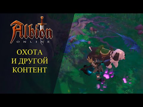 Видео: 🔴Albion online : 🔥ОХОТА И ДРУГОЙ КОНТЕНТ🔥