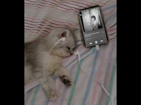 Видео: рок-острова- нечего не говори | speed up