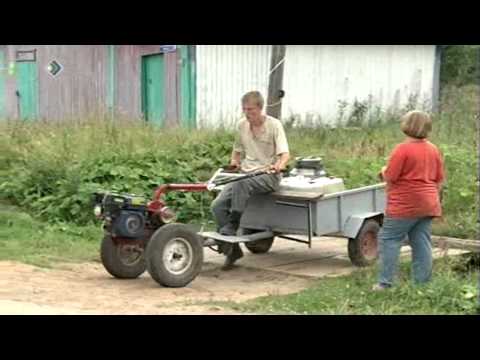 Видео: «Коми incognito» 2 октября 2013