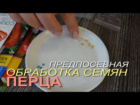 Видео: ОБРАБОТКА СЕМЯН ПЕРЦА перед посевом! Советы от ЗЕЛЕНОГО ОГОРОДА!