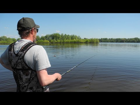 Видео: Шесть видов рыб на удочку в проводку Чехонь, плотва, густера, уклейка, подлещик, подъязки