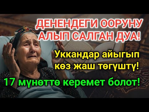 Видео: Күчтүү дуба денедеги ооруну чыгарып таштайт! 17 мүнөттө айыгуу келет!