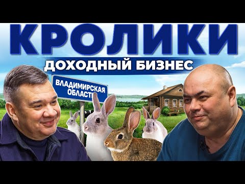 Видео: Кролики - это выгодно! Как заработать на кроличьей ферме? Владимирская область | Андрей Даниленко