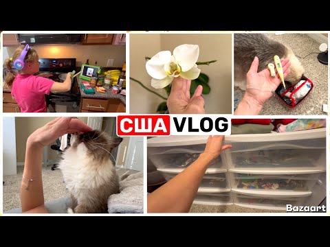Видео: США Влог Совсем разболелась Будем продавать Семейный Влог USA VLOG