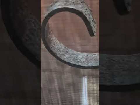 Видео: Накормила уличных кошечек😽😽😽❤️❤️❤️