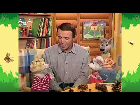 Видео: День в Шишкином Лесу. Библиотека. Как Коксик ленился