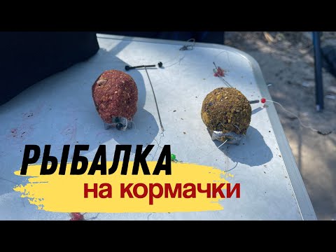 Видео: РЫБАЛКА НА КОРМАЧКИ. РЫБАЛКА И ОТДЫХ НА РЕКЕ С МАЛЫМ ТЕЧЕНИЕМ.