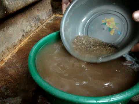 Видео: Промиване с леген-колектор - Ден 1