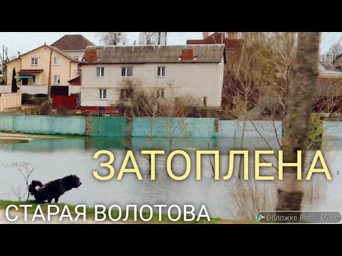 Видео: Старая волотова залита водой
