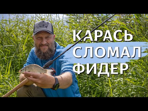 Видео: КАК и ГДЕ поймать КАРАСЯ ОСЕНЬЮ? Место решает! БЕШЕННЫЙ КЛЁВ!