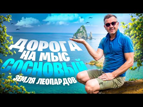 Видео: ДОРОГА НА МЫС СОСНОВЫЙ - ЗЕМЛЯ ЛЕОПАРДОВ - ДАЛЬНЕВОСТОЧНЫЙ ЗАПОВЕДНИК