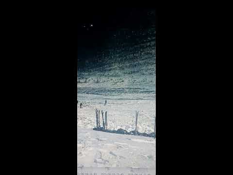 Видео: Перевал Дятлова...2 направление..