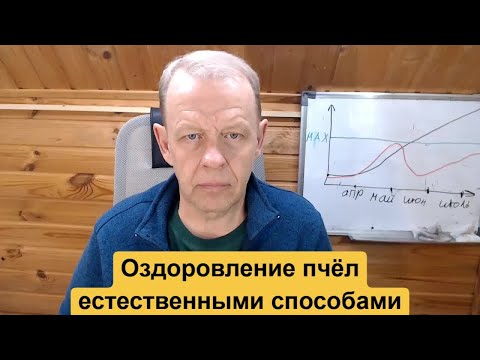 Видео: Оздоровления и лечения болезней пчёл биологическими, естественными способами, что для этого надо