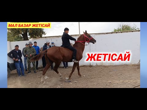 Видео: ЖЕТІСАЙ МАЛ БАЗАРЫ | МАЛ БАЗАРЫ 2024 | livestockmarketing