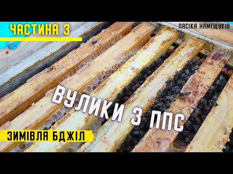 Видео: Зимівля бджіл. ППС вулики. Частина 3