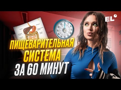 Видео: ПИЩЕВАРИТЕЛЬНАЯ СИСТЕМА ЗА 60 МИНУТ || ЕГЭ ПО БИОЛОГИИ 2025 || Женя Биологичка ЕГЭLAND