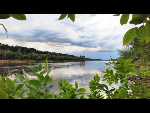 Видео: Нужны снасти помощнее, это уже совсем не судачки и мелкая стерлядь. Рыбалка на острове.