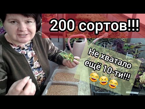 Видео: КОЛЕУСЫ новинки. Опять вермикулит!