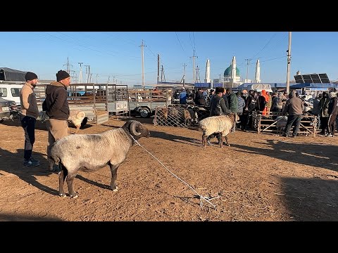 Видео: ХОРАЗМ БОҒОТ КУЙ КУЧКАР БОЗОР НАРХЛАРИ 