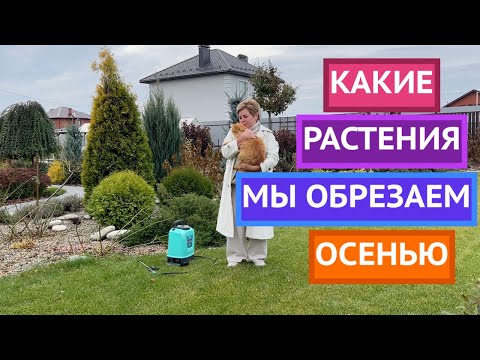 Видео: НЕ ОШИБИТЕСЬ ПРИ ОСЕННЕЙ ОБРЕЗКЕ РАСТЕНИЙ!