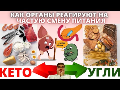 Видео: КЕТО диета переход ➙ ВысокоУглеводное питание ➙ Безуглеводный рацион: Что с внутренними органами❗❓
