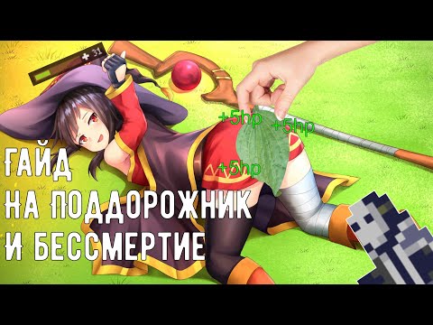 Видео: Где найти и куда прикладывать подорожник в Noita или гайд по Отхилу для Новичков