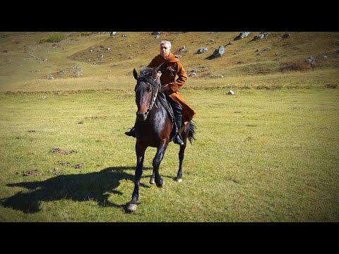 Видео: Алим Теппеев - МАЛКЪАРГЪА