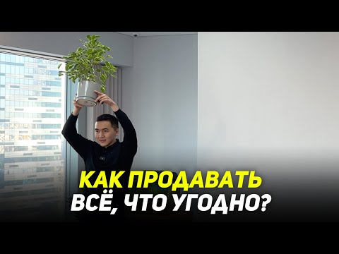 Видео: Как влиять и убеждать? Аргументация выгод. ХПВ.