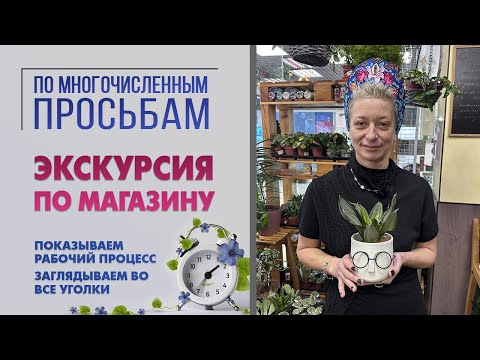 Видео: Экскурсия по моему цветочному магазину. Все тайные уголки и закрома. Ведьминский уголок изнутри.