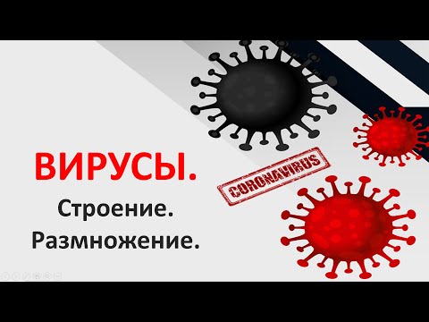 Видео: Вирусы.  Строение.  Размножение.