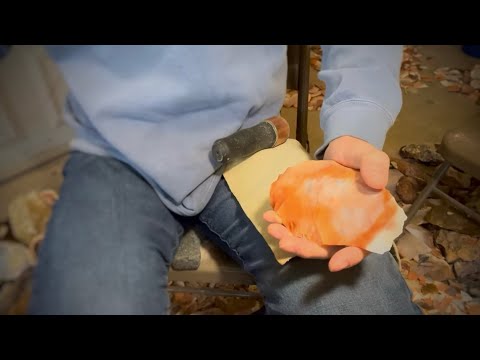 Видео: Кремневый коралл Флориды!