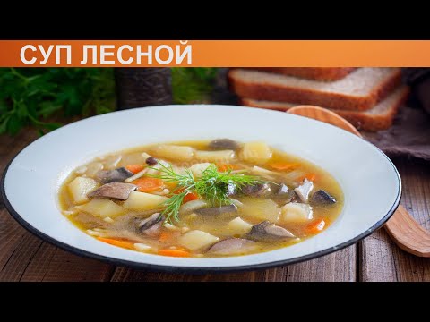 Видео: КАК ПРИГОТОВИТЬ СУП ЛЕСНОЙ? Насыщенный и густой грибной суп из свежих лесных грибов