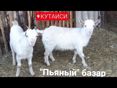 Видео: #ГРУЗИЯ#КУТАИСИ#Прогулки по городу "Пьяный" базар