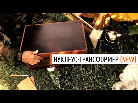 Видео: Нуклеус-трансформер со смотровым окошком - Парк Плюс