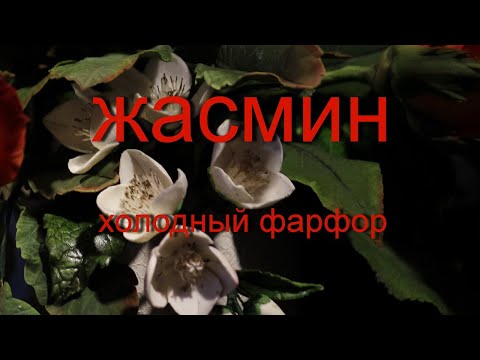 Видео: Жасмин из Х.Ф.  Jasmin. Цветы из полимерной глины . Sugar Flower Tutorial