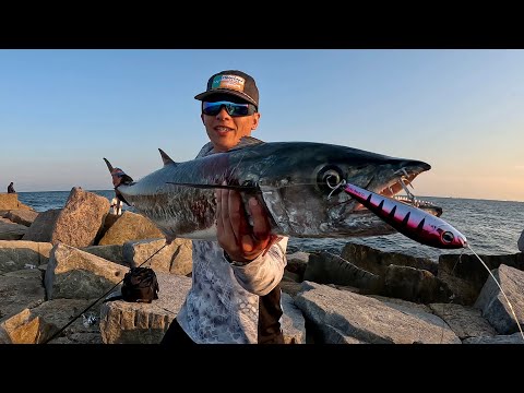 Видео: БЕЗУМНАЯ рыбалка на KingFish на причале! (Порт-Аранзас, Техас)