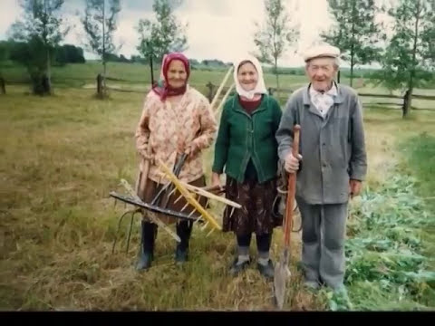 Видео: Снится мне деревня. Чижово, Бежецкий район, Тверская область