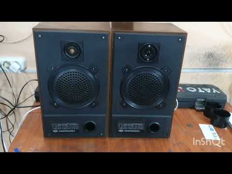 Видео: Апгрейд колонок 6АС 221 до S30 Radiotehnika.