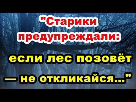 Видео: Хозяин леса | История из жизни