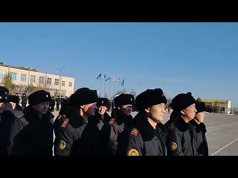 Видео: 101. 25744  Морской пихота Актау 12.11.2022 г