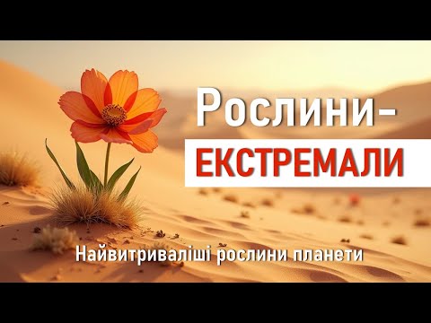 Видео: Топ-10 НАЙВИТРИВАЛІШИХ рослин світу.